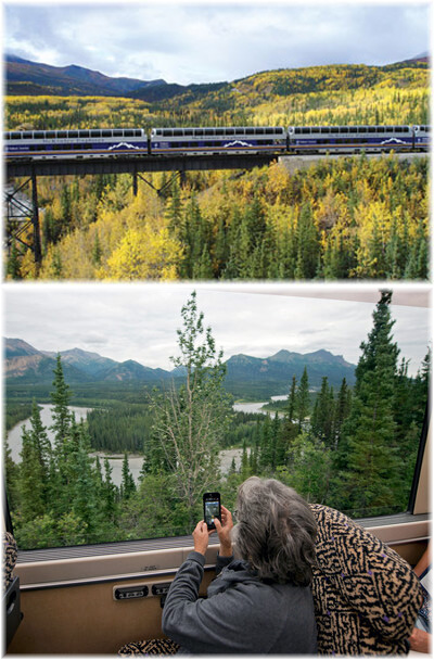 Guests on a Holland America Line cruisetour enjoy the scenic landscape of interior Alaska while riding the McKinley Explorer to Denali